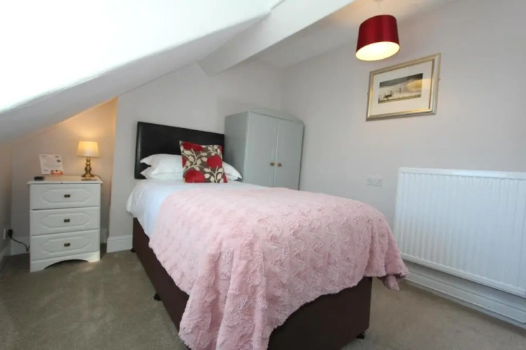 Standard Single room with mountain view