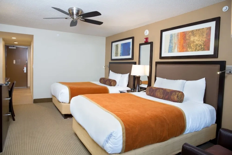 Standard Quadruple room