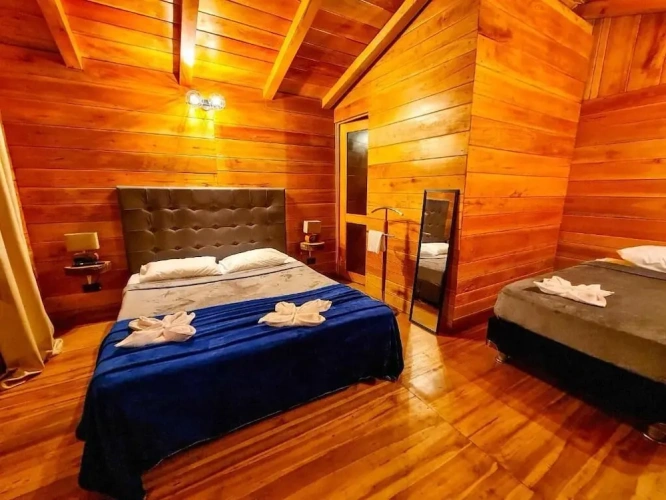 1 Bedroom Superior room with balcony and with lake view