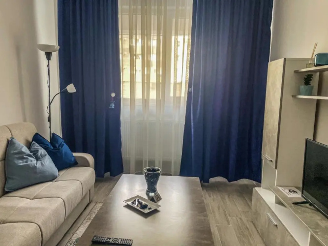 Cozy Blue Apartment