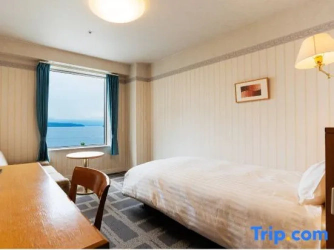 Standard Single room with ocean view