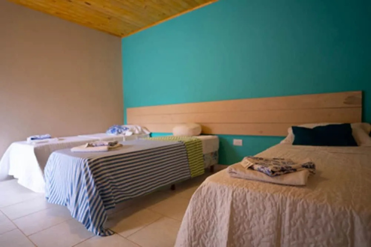 Ara Suite