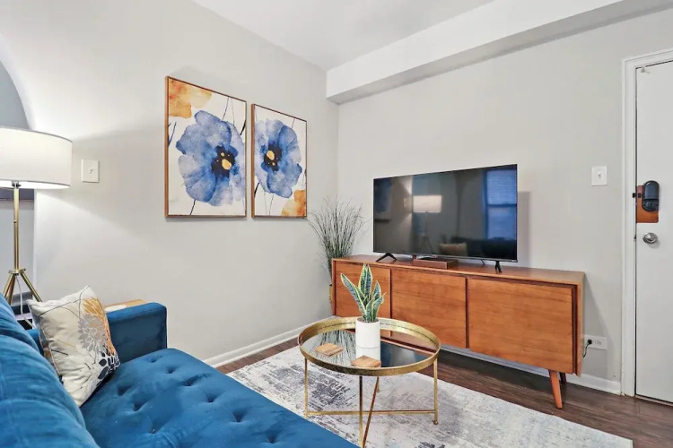 1BR Chic Apt - Dorchester 204