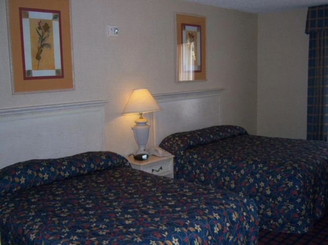 7 boutique hotel