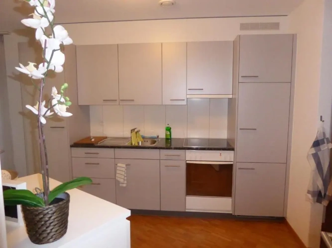1 Bedroom Apartment with balcony