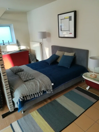 Comfort Apartment