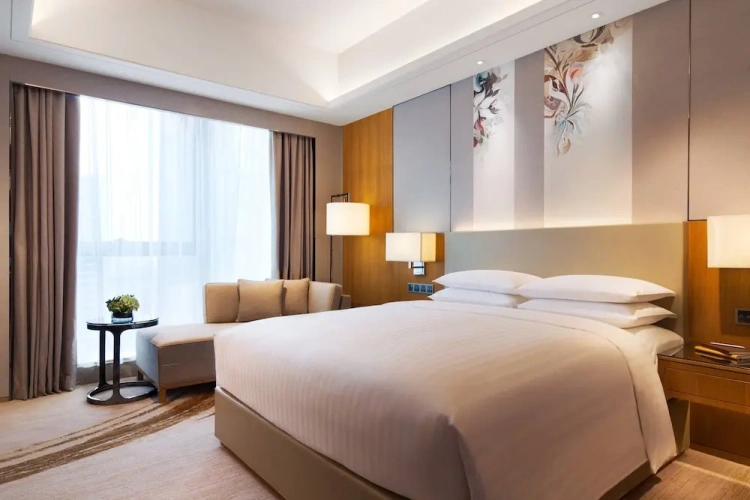 Deluxe Double Suite with city view