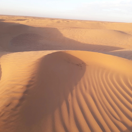Le Chant Du Sable