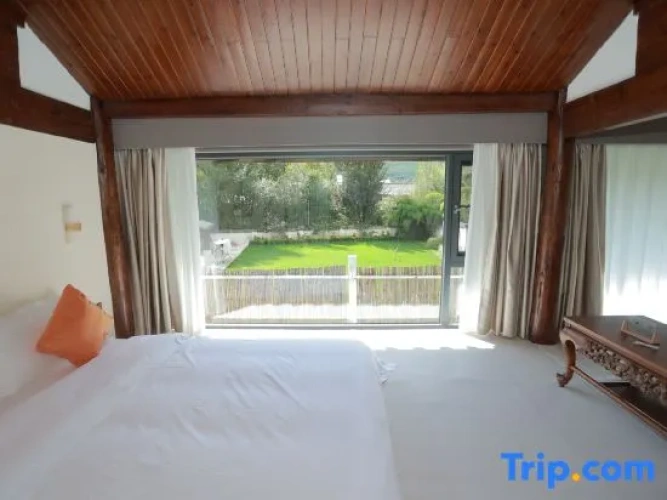 Standard Double room with courtyard view