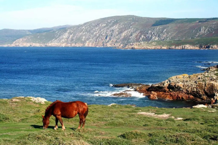 Casa Cabo Tourinan