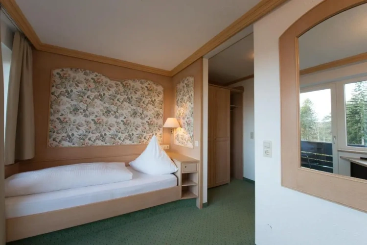 Standard Twin room with balcony and with view
