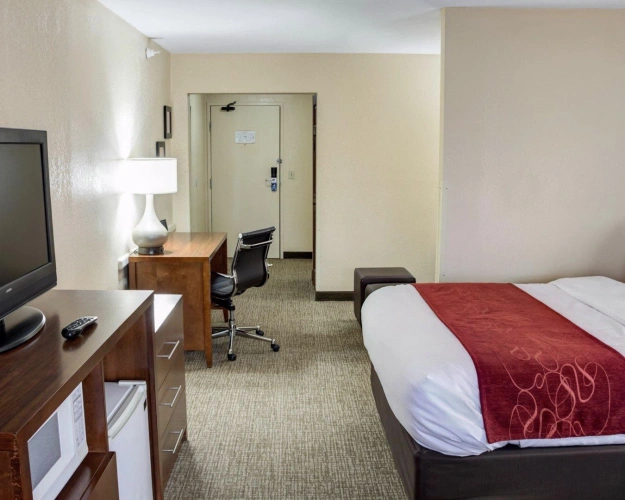 1 Bedroom Double Suite