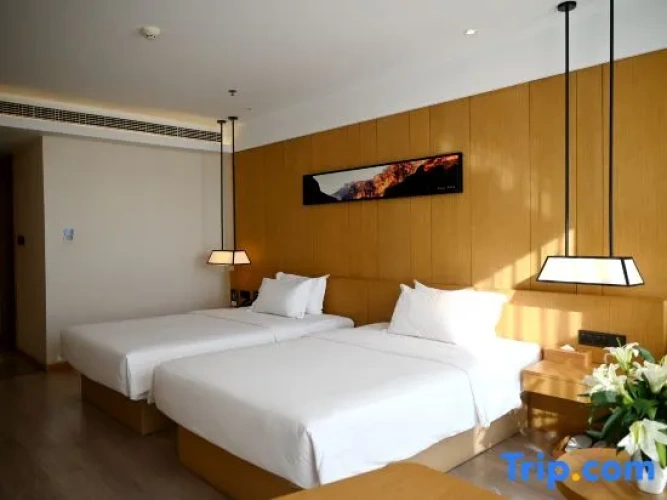 Standard Double Family room