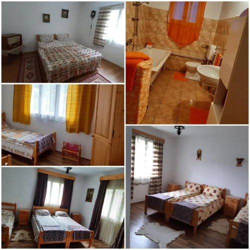 Casa de Vacanta Joldes