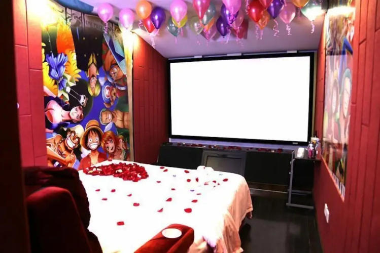 Cinema Hotel UIBE