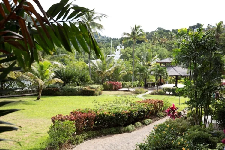 Twin Junior Suite with garden view