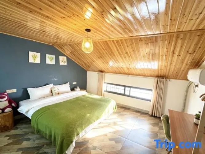 Standard Double Attic room