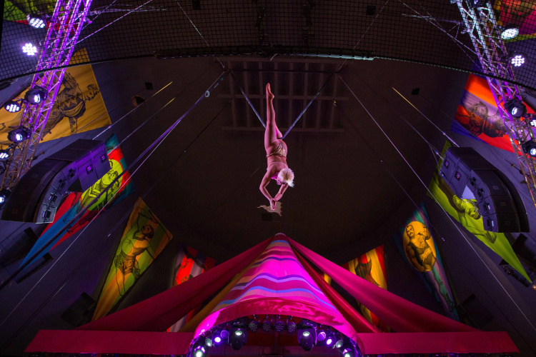 Circus Circus Reno Hotel & Casino photo 17