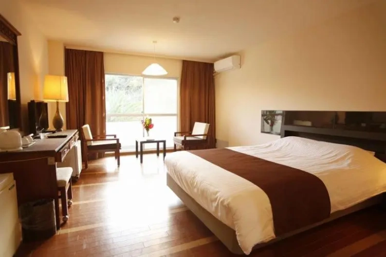 Standard Double room with mountain view