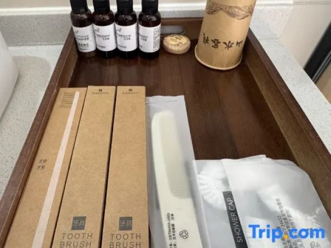Premium Twin room