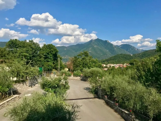 Standard Double room with mountain view