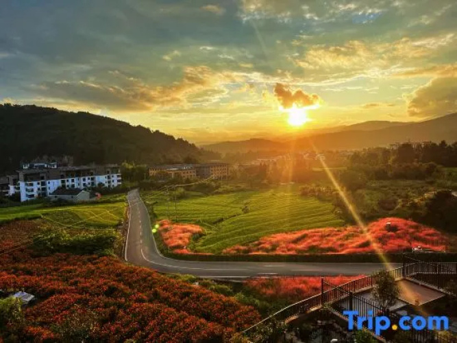 ShiguangLi Homestay