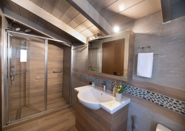 Luxury Apartment
