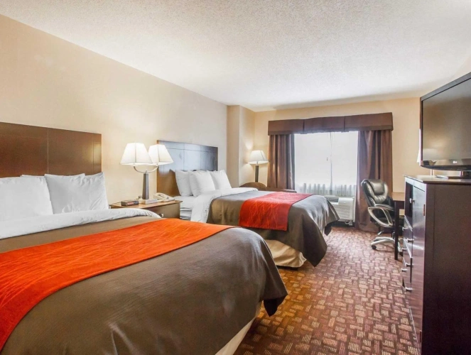 Quadruple Suite