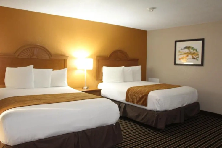 Standard Quadruple room