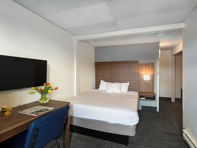 Comfort Double room