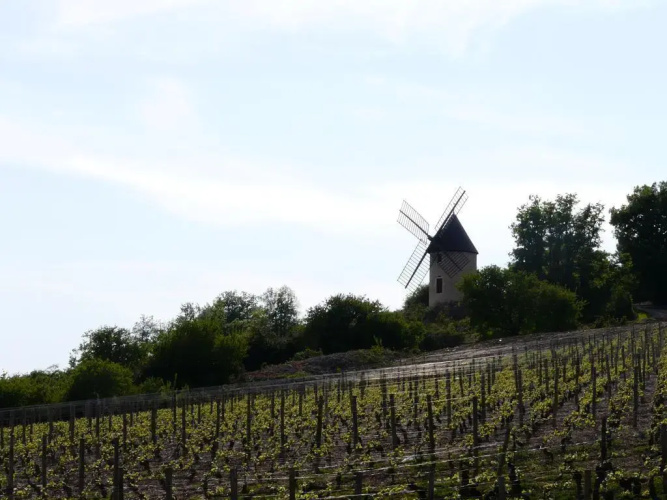 La Chouette