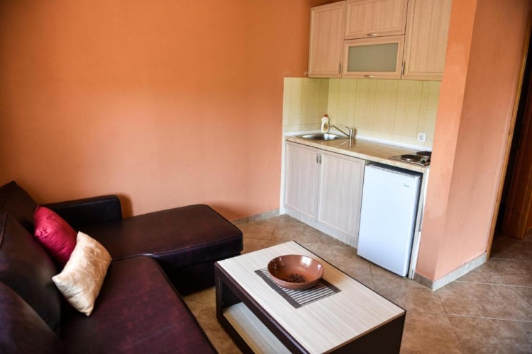Deluxe Apartment