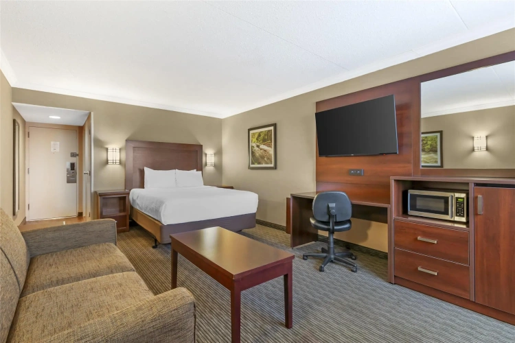 Standard Double Basement room