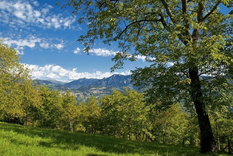 Standard room with mountain view