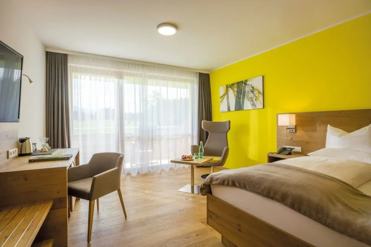 Standard Single room with balcony and with mountain view