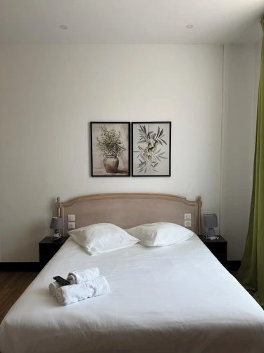 Comfort Suite
