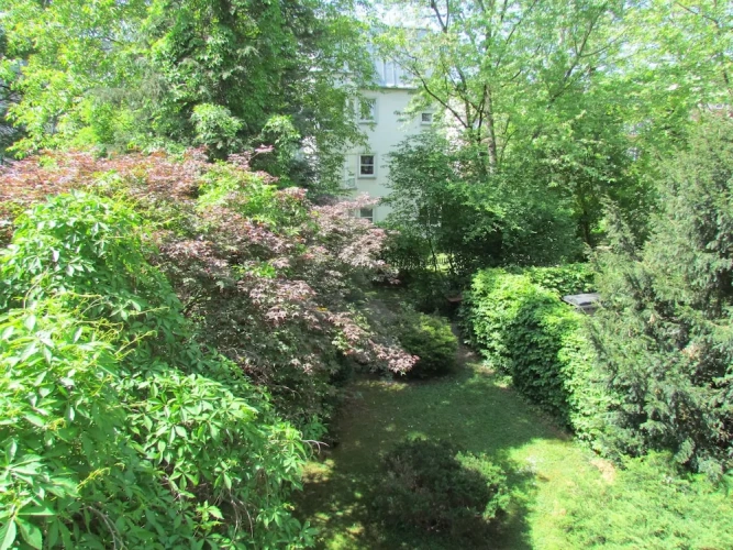 Superior Twin room with garden view