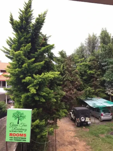Green Tree Residency