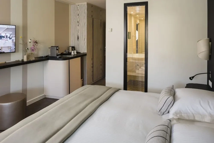 Standard Double room with balcony and with pool view