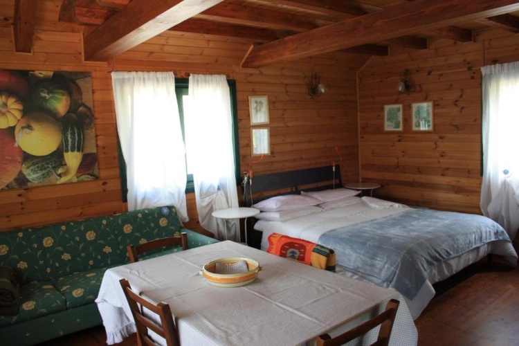 Chalet with garden view