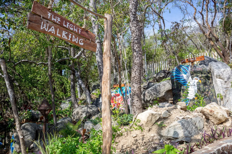 Imagen de La Isla Natura Beach All Inclusive