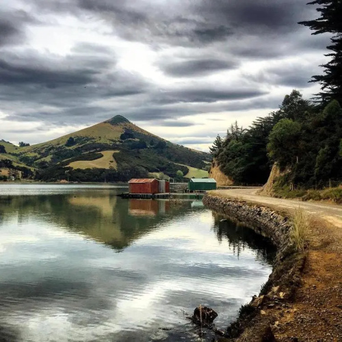 Otago Peninsula Paradise