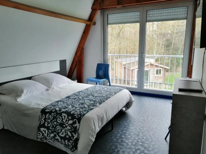 Standard Double room with garden view
