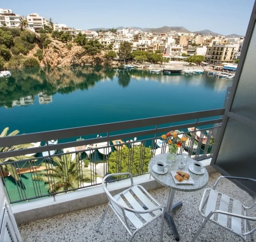Studio with balcony and with lake view