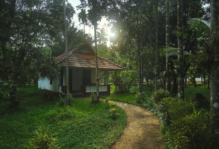 Deluxe Villa with view