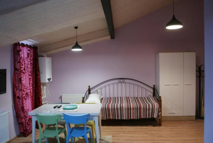 Dadus Bakuriani Apartment 172