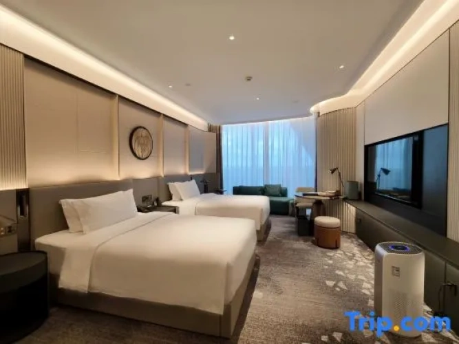 Standard Twin room with city view