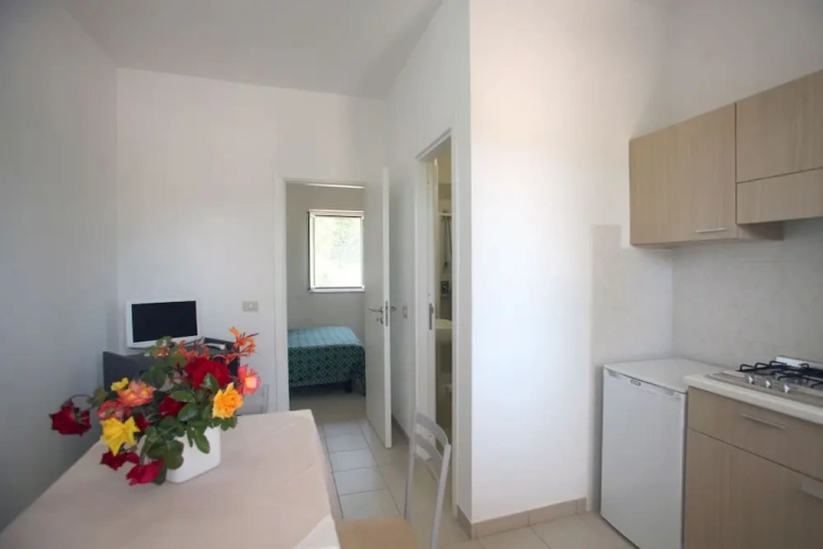 1 Bedroom Apartment with balcony