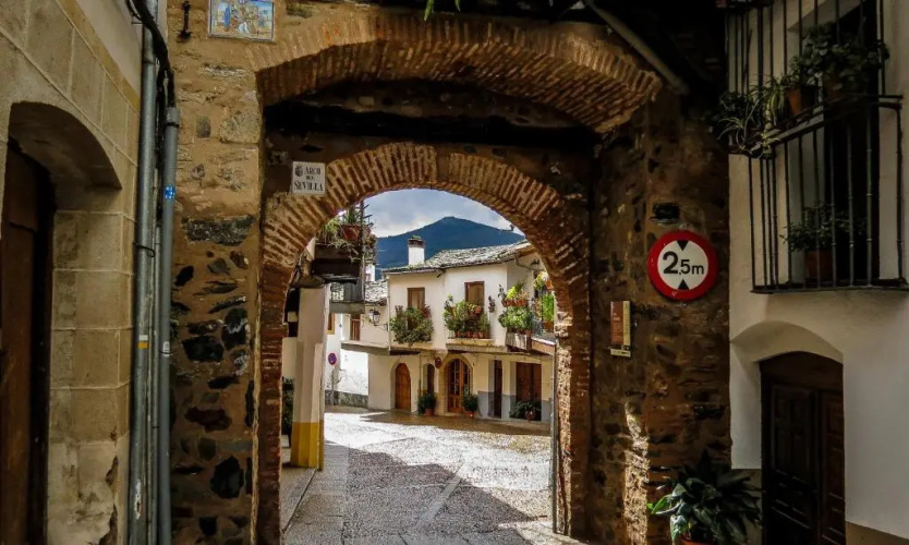 Hostal Altamira Guadalupe