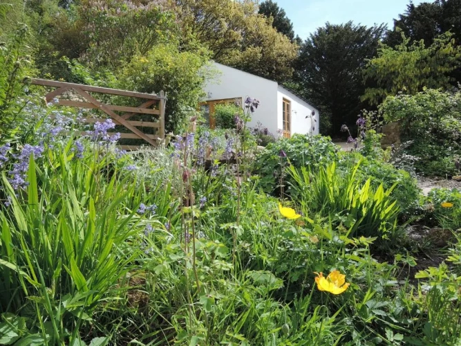 Deluxe Double room with garden view